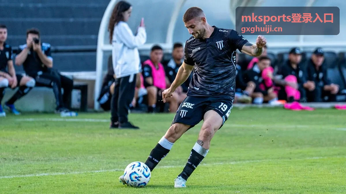 mksports登录入口 多平台兼容登录示意图