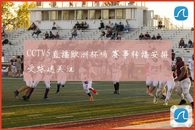 CCTV5直播欧洲杯吗 赛事转播安排受球迷关注