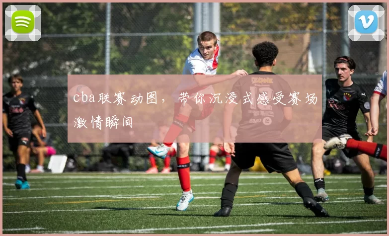 cba联赛动图，带你沉浸式感受赛场激情瞬间